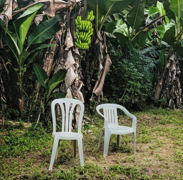 Bad Bunny – Debí Tirar Más Fotos | 2LP Blanco