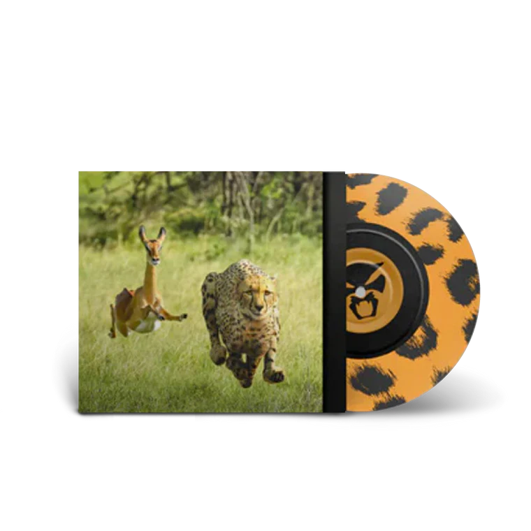 Thundercat & Tame Impala – No More Lies: 7" Picture Disc