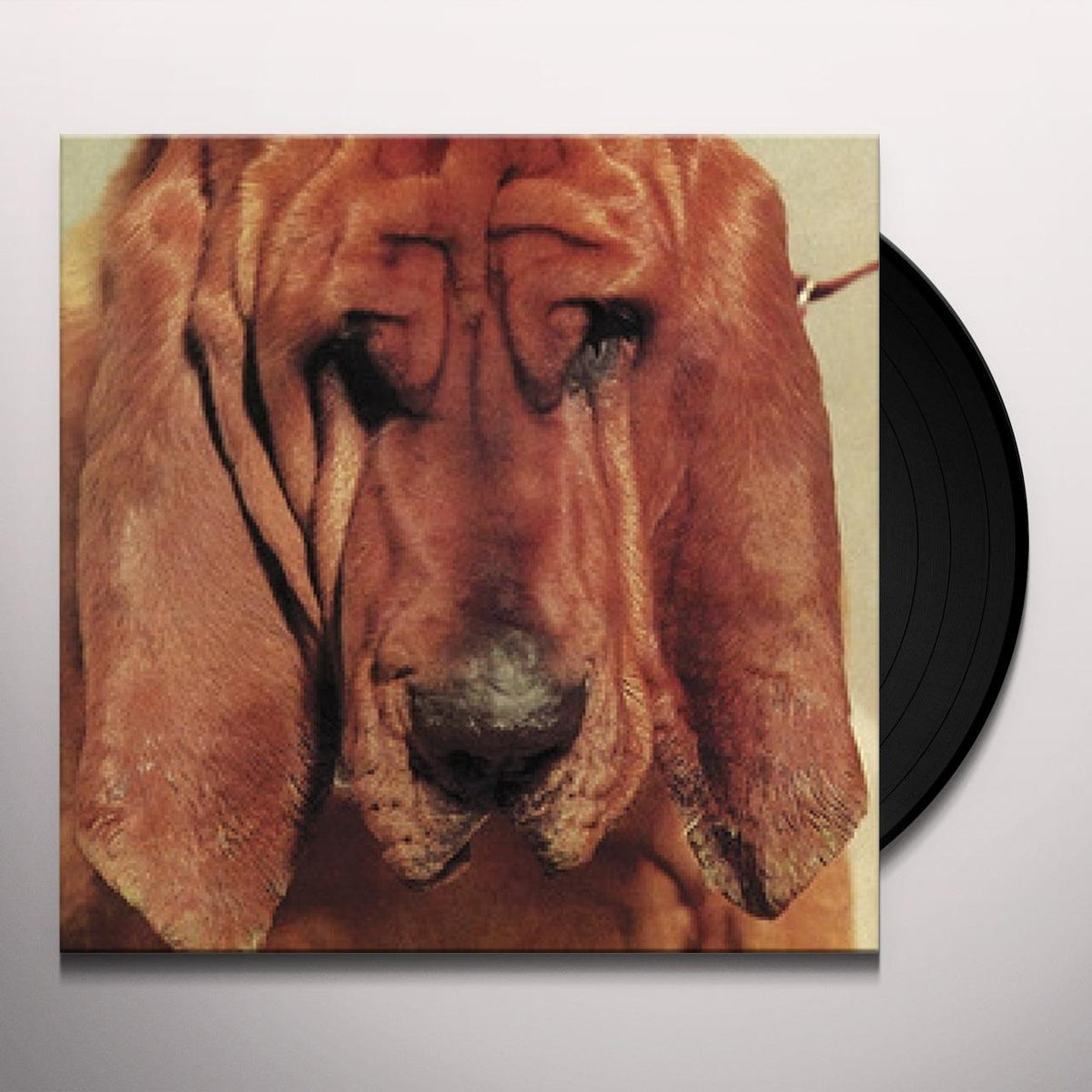 Ty Segall - Goodbye Bread