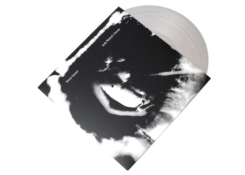 Trevor Sensor - Andy Warhol's Dream: LP Plateado