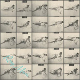 Roxy Music - Roxy Music - The Steven Wilson Stereo Mix | Vinyl Transparente (RSD19)