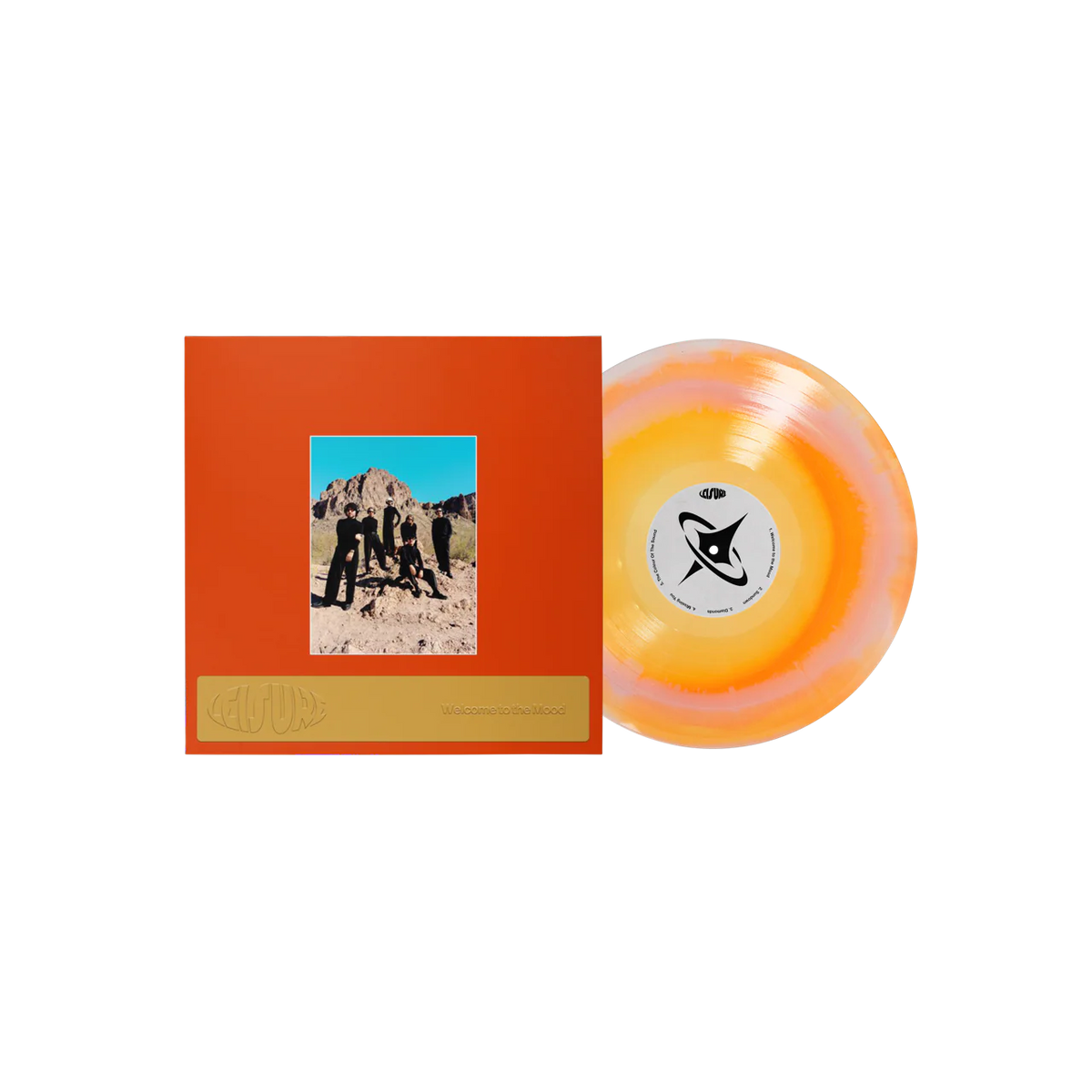 LEISURE - WELCOME TO THE MOOD (VINYL)