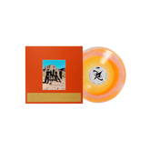 LEISURE - WELCOME TO THE MOOD (VINYL)