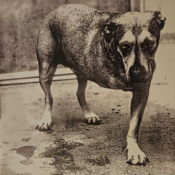 Portada de Alice In Chains de Alice In Chains en vinilo