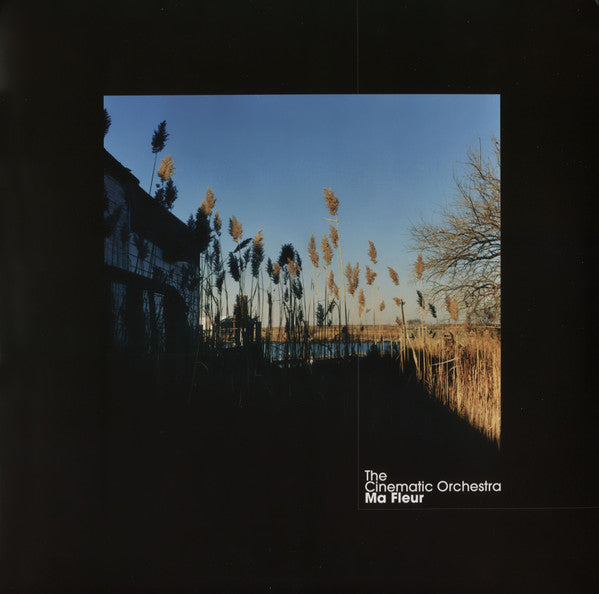 The Cinematic Orchestra - Ma Fleur | 2LP Transparente