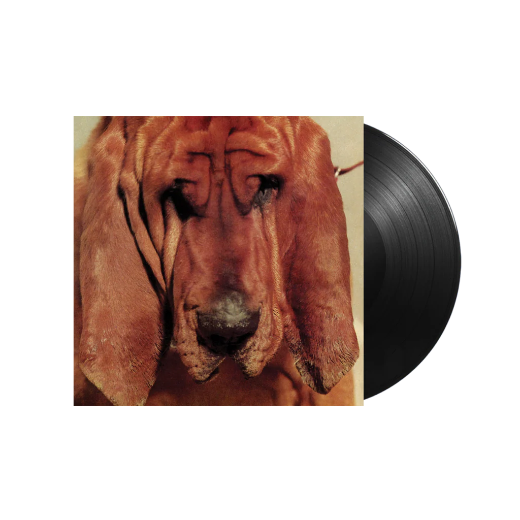 Ty Segall – Goodbye Bread