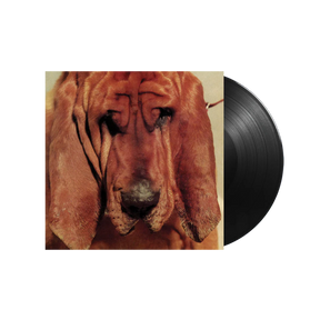 Ty Segall – Goodbye Bread
