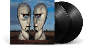 Pink Floyd - The Division Bell | 2LP