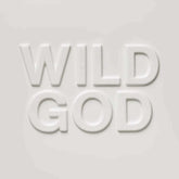 Nick Cave & The Bad Seeds- Wild God | LP Gris